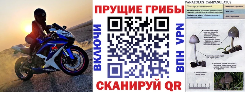 купить наркоту  Лахденпохья  Галлюциногенные грибы ЛСД 